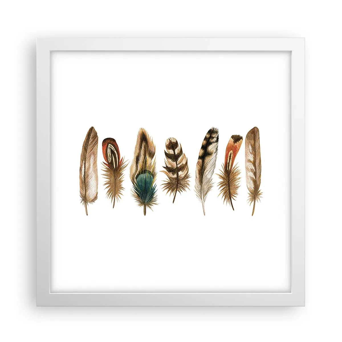Poster in cornice bianca - Composizione di piume - 30x30 cm