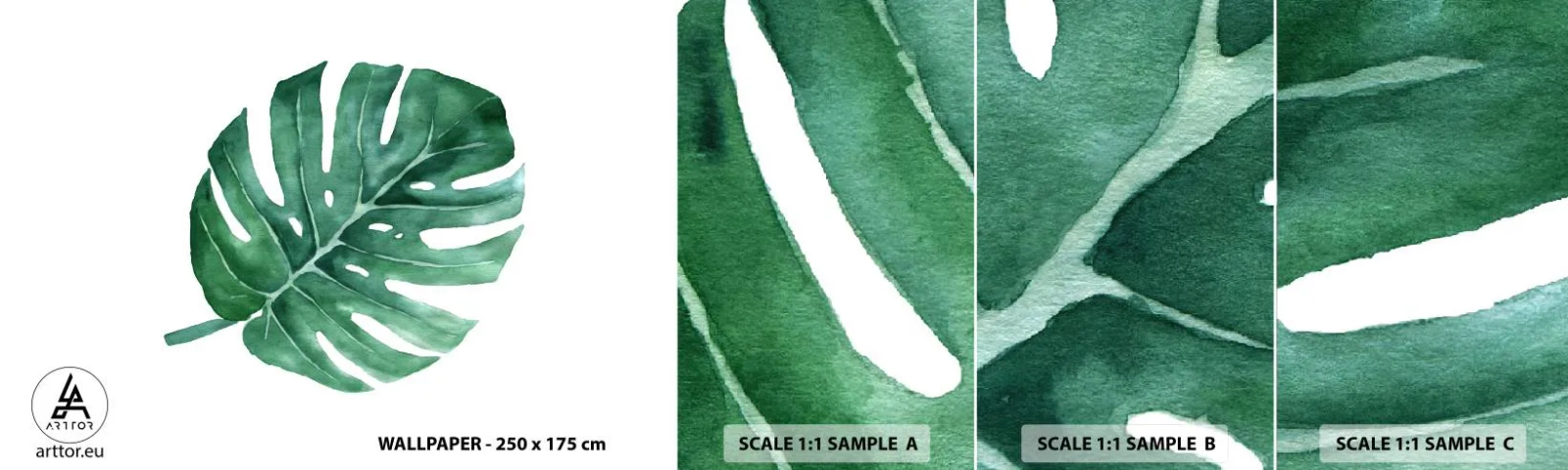 Campione Di Fotomurale Standard Eco - Concetto verde - Monstera, Foglia, Boho - 100x30 cm