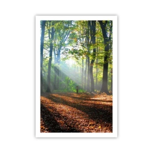 Poster - Luci e ombre - 61x91 cm