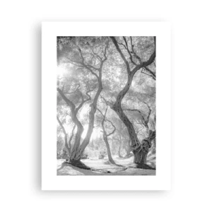 Poster - Nell'orto degli ulivi - 30x40 cm