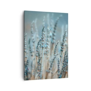 Quadro su tela - Stampe su Tela - Lavanda nel campo in delicati toni pastello - 50x70cm - Campo profumato - Decorazione murale moderna per soggiorno e camera da letto ARTTOR