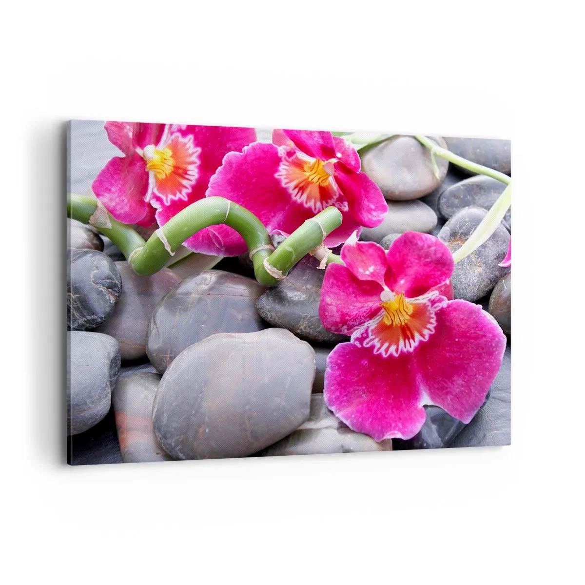 Quadro su tela - Stampe su Tela - Orchidee rosa su uno sfondo di pietre lisce - 100x70cm - Fresco e calore - Decorazione murale moderna per soggiorno e camera da letto ARTTOR