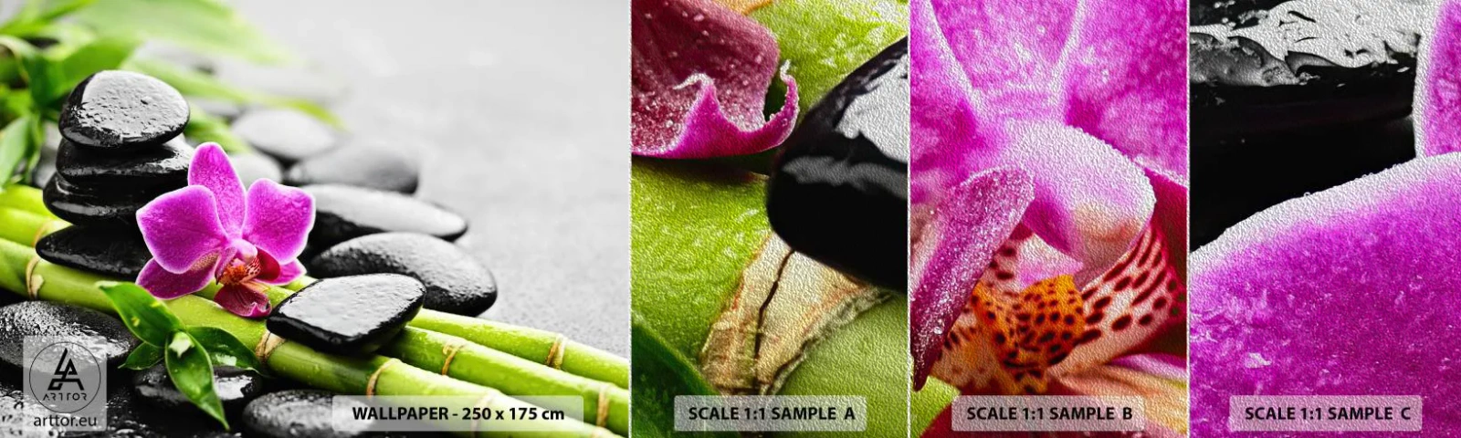 Campione di Fotomurale Premium Sand - Un tranquillo equilibrio - Fiori, Orchidea, Orchidea - 100x30 cm