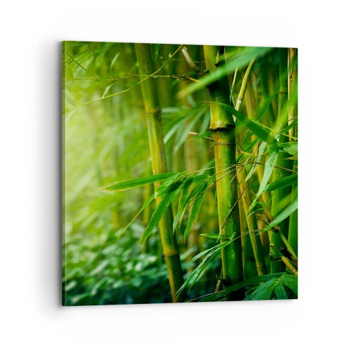 Quadro su tela - Stampe su Tela - Conoscere il verde in sé - 70x70 cm
