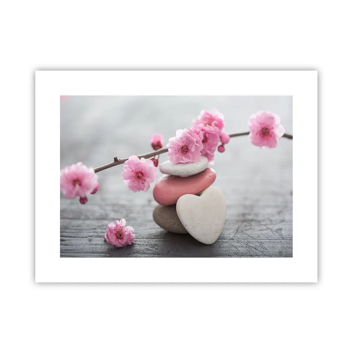 Poster - Serenità con fiori di ciliegio - 40x30 cm
