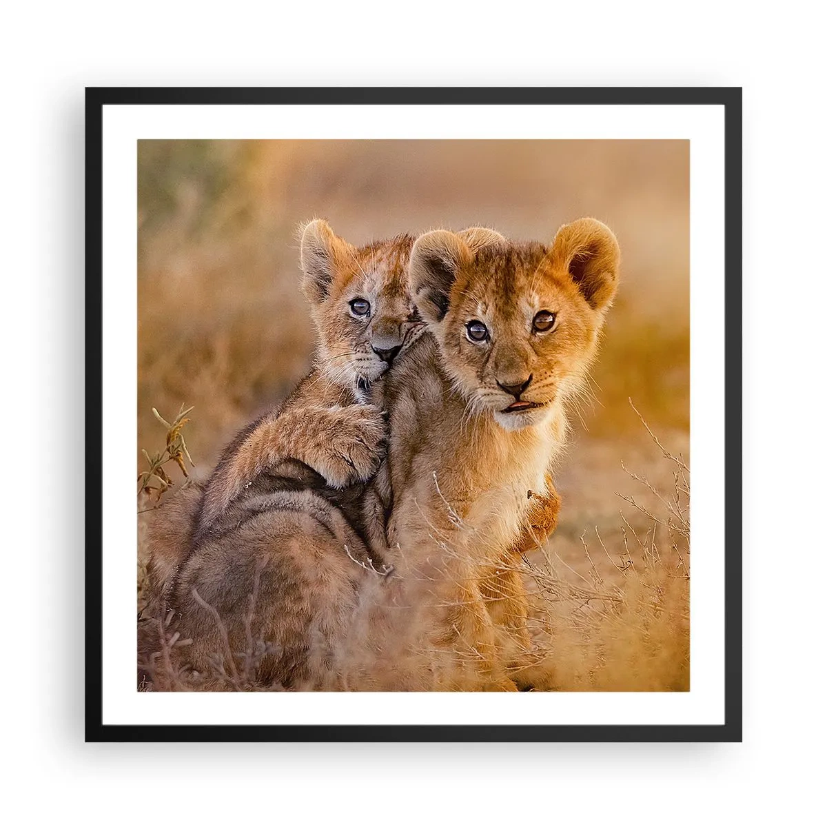 Poster in cornice nera - Non disturbare! Giochiamo - 60x60 cm