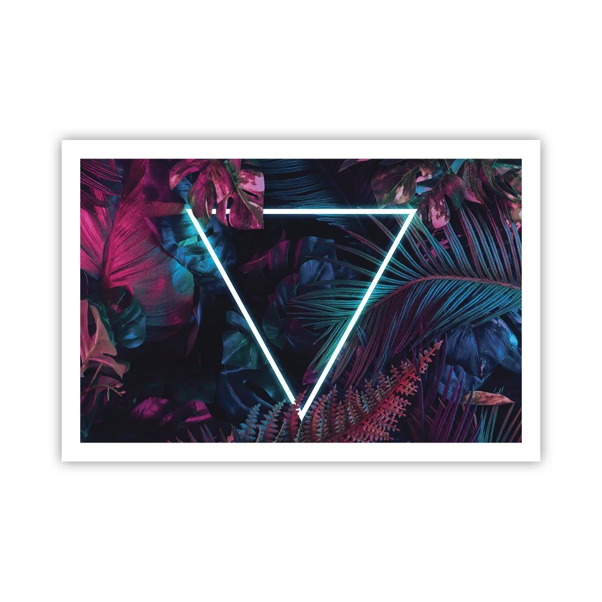 Poster - Giardino in stile discoteca - 91x61 cm