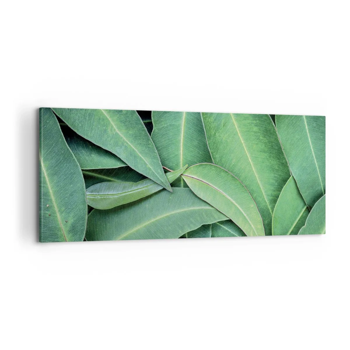 Quadro su tela - Stampe su Tela - Succosi e freschi - 100x40 cm