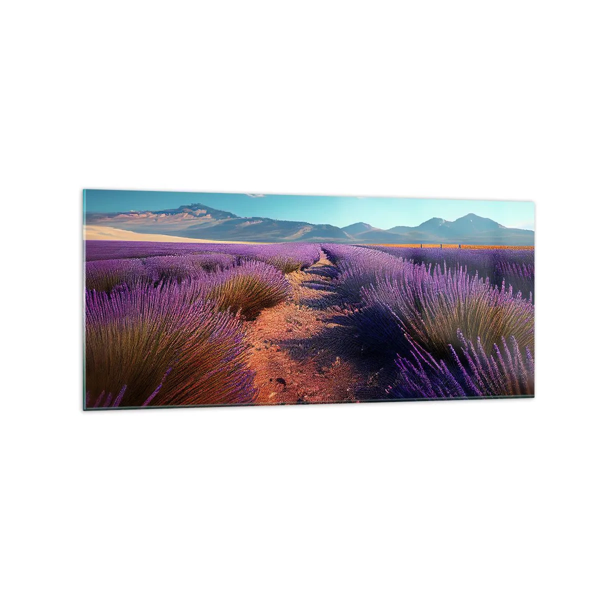 Quadro su vetro - Un campo di lavanda con vista sulle montagne e sul cielo azzurro - 120x50cm - Campi profumati - Decorazione murale moderna per soggiorno e camera da letto ARTTOR