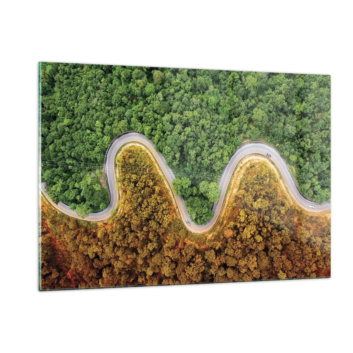 Quadro su vetro - Una strada tortuosa attraverso una fitta foresta vista a volo d'uccello - 120x80cm - Confine e separazione - Decorazione murale moderna per soggiorno e camera da letto ARTTOR