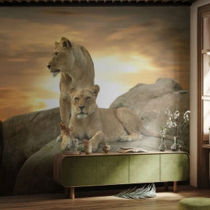 Fotomurali Premium Sand - Due leonesse riposano su una roccia al tramonto - 100x70cm - Maestà reale - Decorazione murale moderna per soggiorno e camera da letto ARTTOR