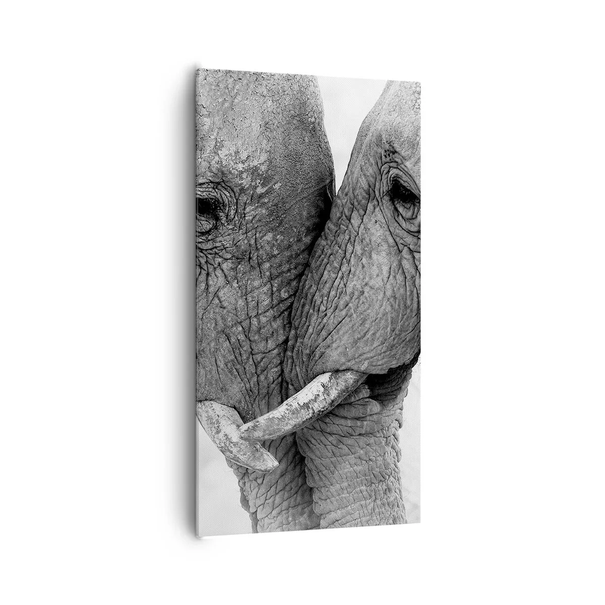 Quadro su tela - Stampe su Tela - Dichiarazione sincera - 65x120 cm