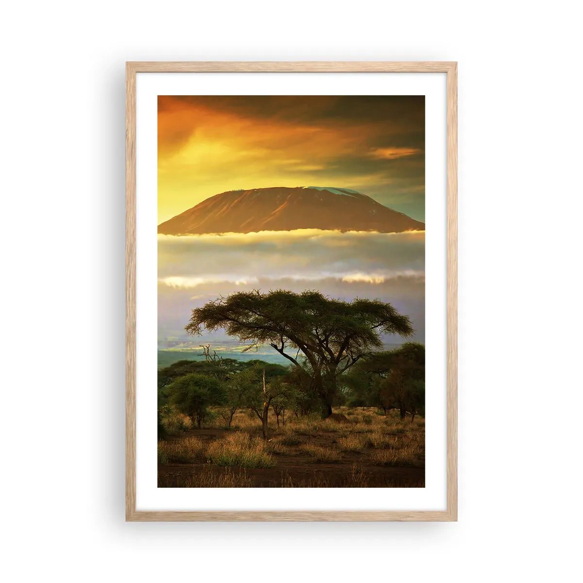 Poster in cornice rovere chiaro - Il sogno del viaggiatore - 50x70 cm