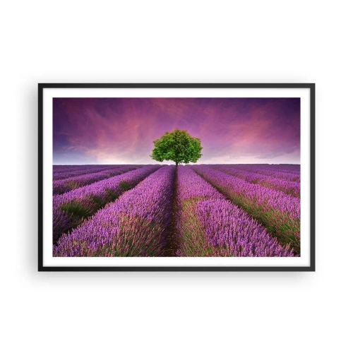 Poster in cornice nera - Sui campi di lavanda - 91x61 cm