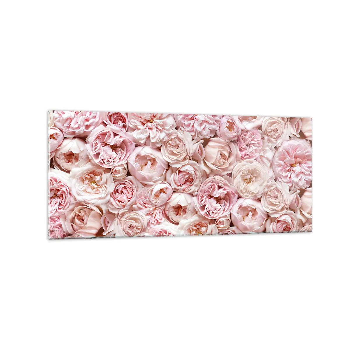 Quadro su vetro - Delicate rose in tonalità di rosa su tutta la superficie - 120x50cm - Coperto di rose - Decorazione murale moderna per soggiorno e camera da letto ARTTOR