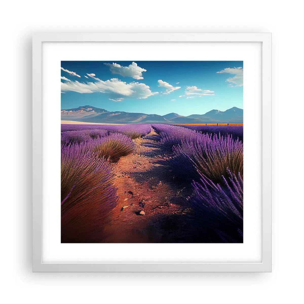 Poster in cornice bianca - Campi profumati - 40x40 cm