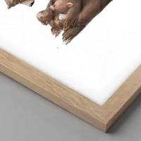 Rovere chiaro