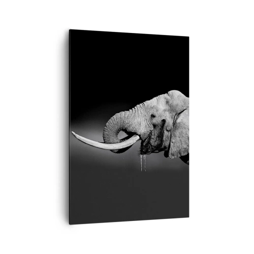 Quadro su tela - Stampe su Tela - Ritratto in bianco e nero di un elefante di profilo - 70x100cm - Si, adesso va bene - Decorazione murale moderna per soggiorno e camera da letto ARTTOR