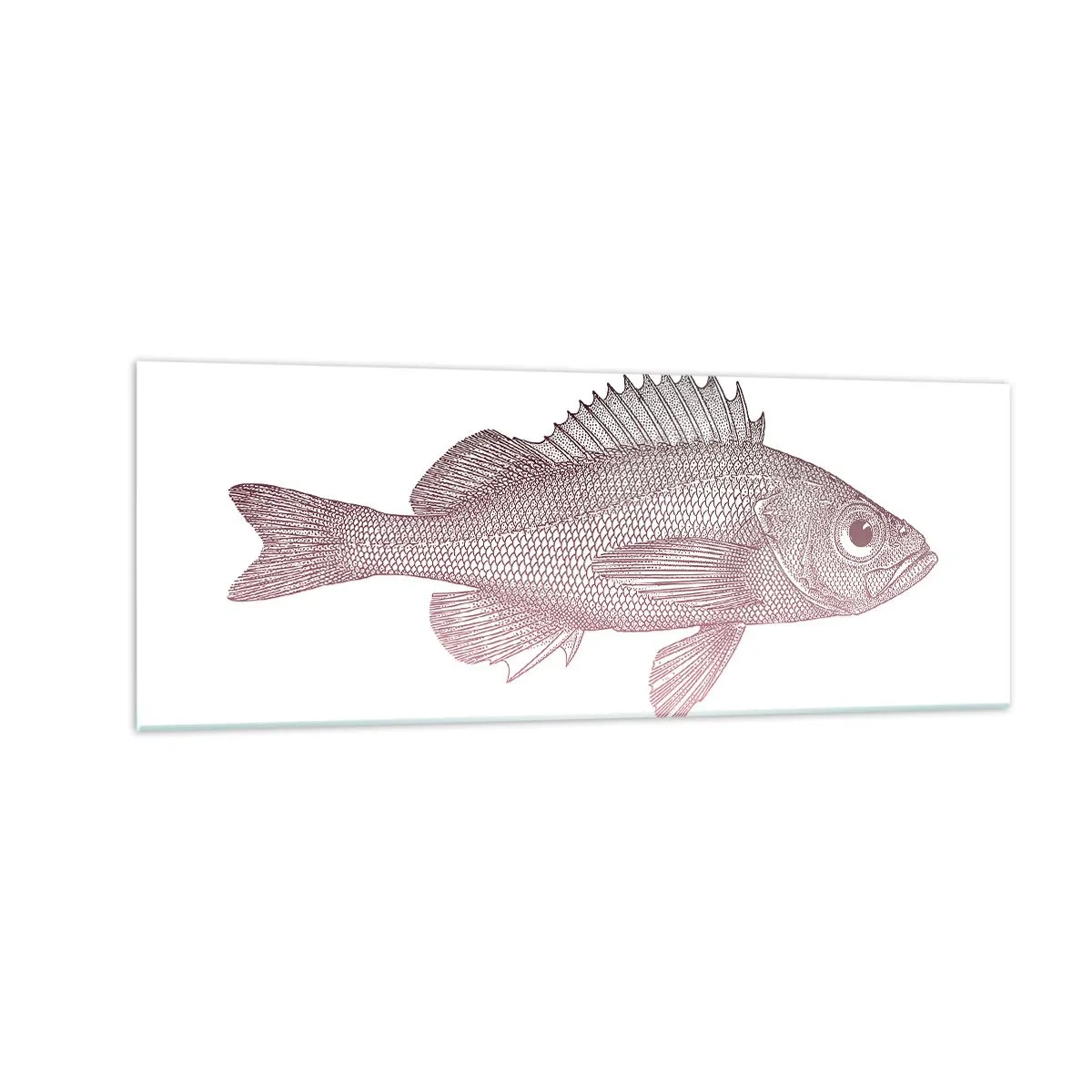 Quadro su vetro - Illustrazione dettagliata di un pesce su sfondo bianco - 140x50cm - Il pesce dagli occhi enormi - Decorazione murale moderna per soggiorno e camera da letto ARTTOR
