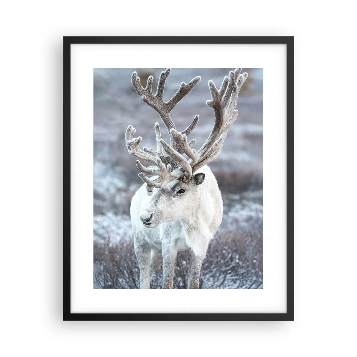 Poster in cornice nera - Ritratto al sole - 40x50 cm