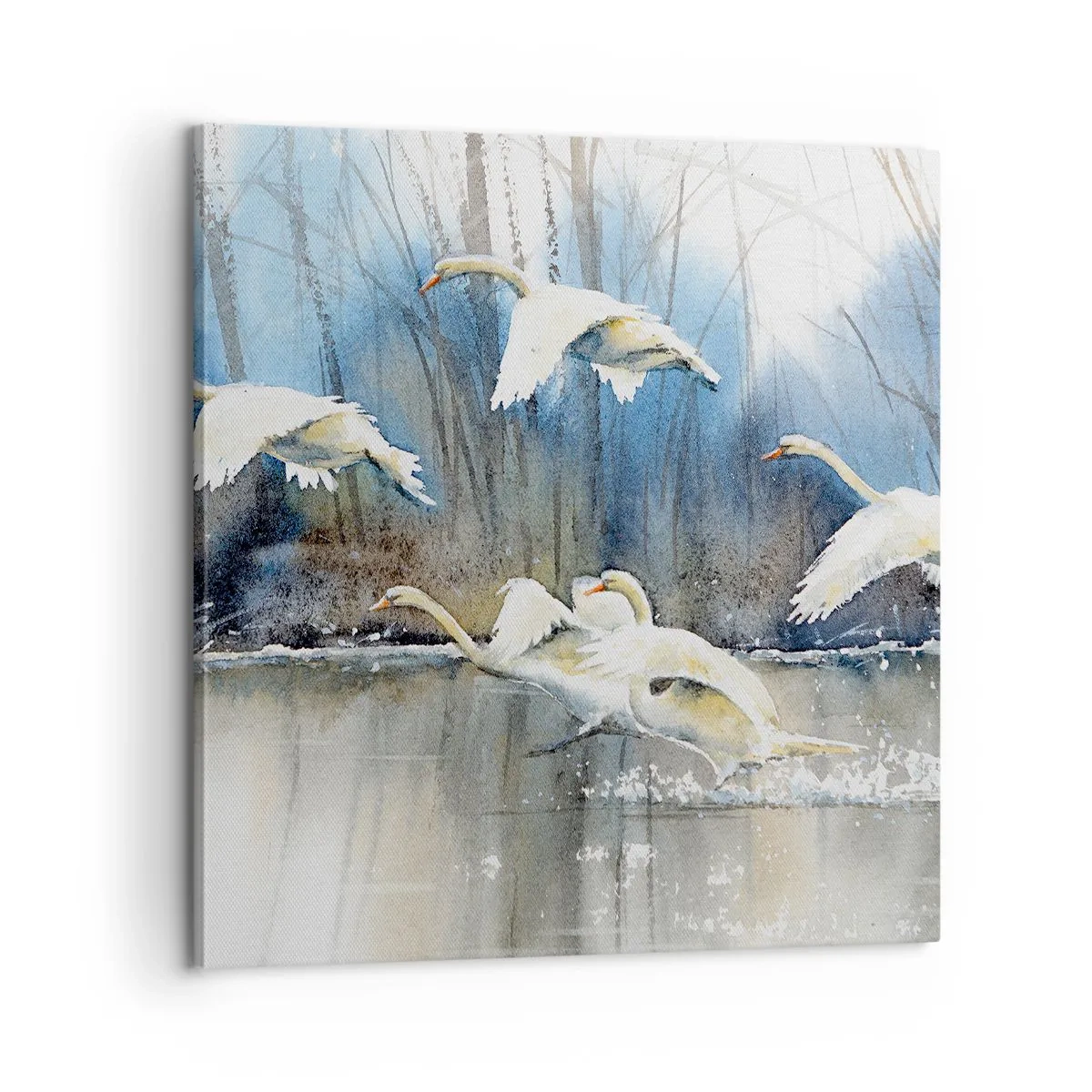 Quadro su tela - Stampe su Tela - Come la favola dei cigni selvatici - 60x60 cm