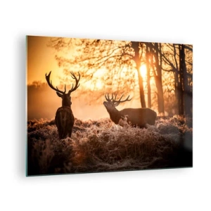 Quadro su vetro - Due cervi in una scena di foresta all'alba - 70x50cm - Il sogno del cacciatore - Decorazione murale moderna per soggiorno e camera da letto ARTTOR