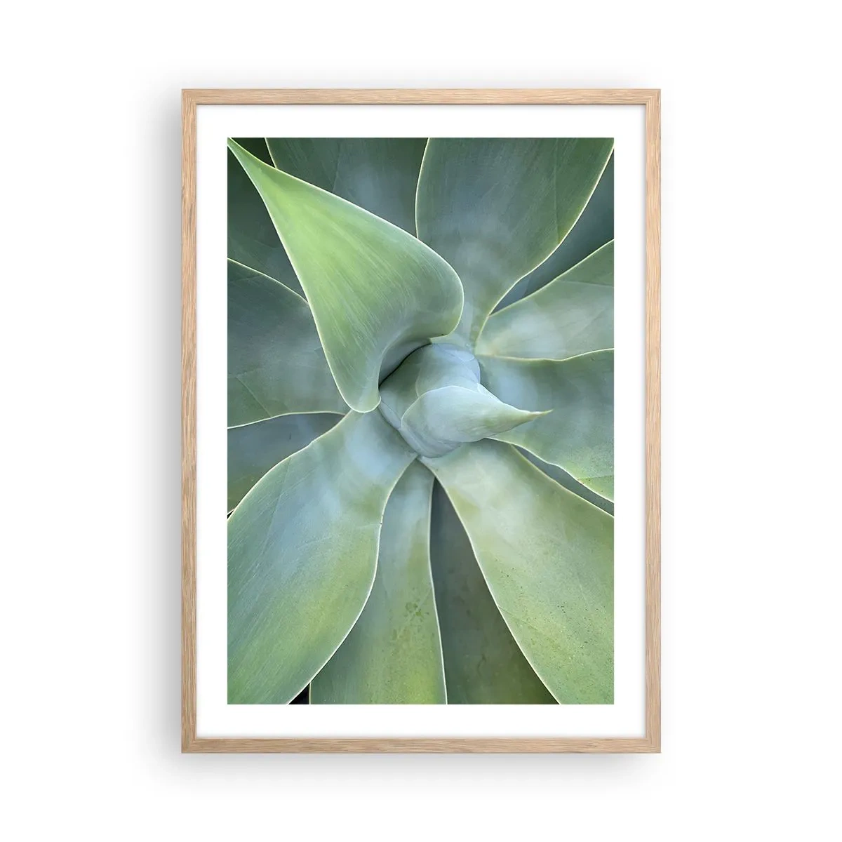 Poster in cornice rovere chiaro - La nascita del verde - 50x70 cm