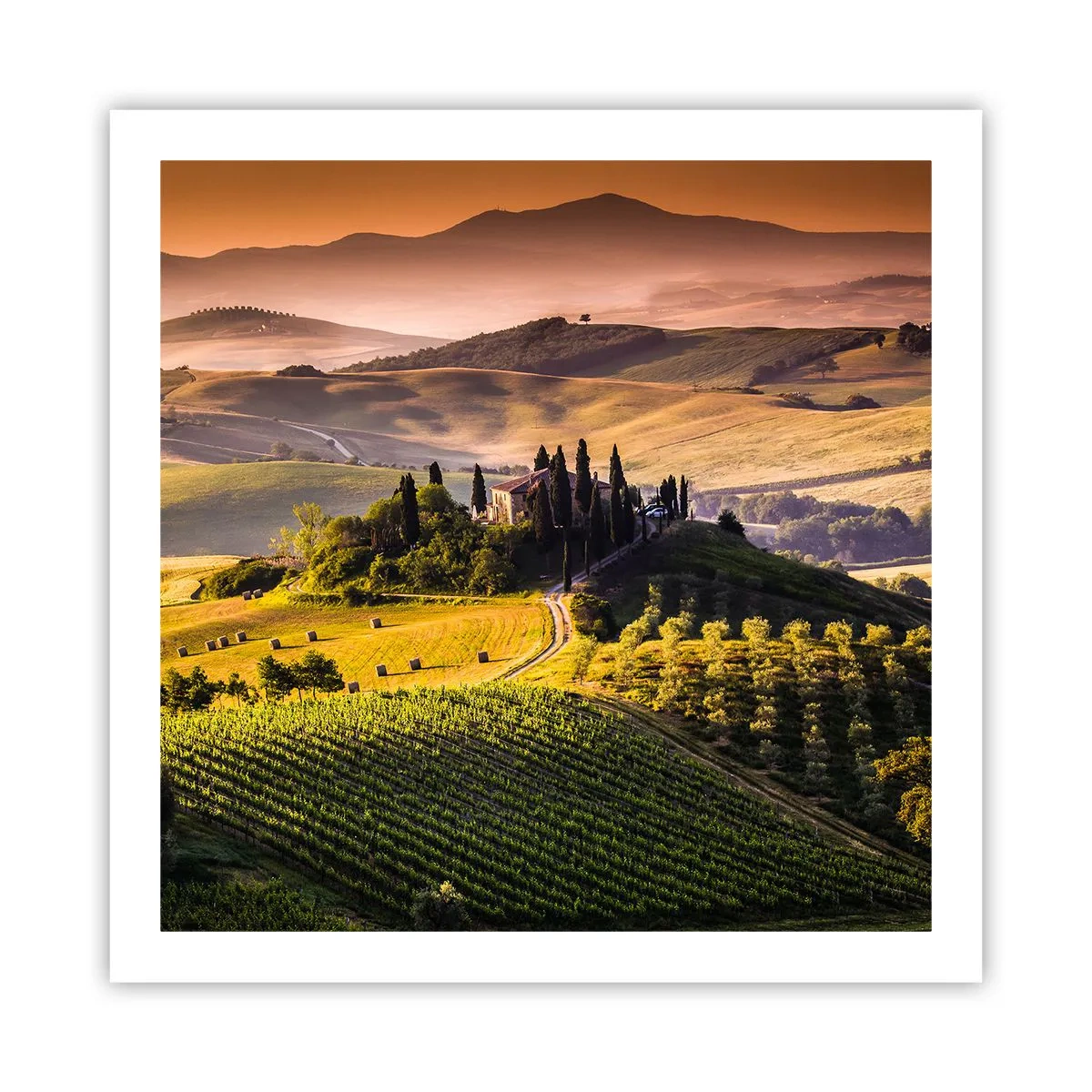 Poster - Arcadia: paesaggio toscano - 60x60 cm