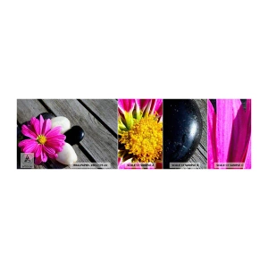 Campione Di Fotomurale Standard Eco - Riposo sul molo - Fiore, Pietre, Ponte di Legno - 100x30 cm