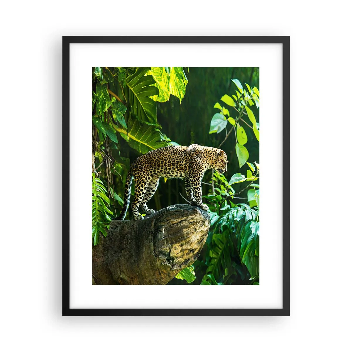 Poster in cornice nera - A caccia? - 40x50 cm