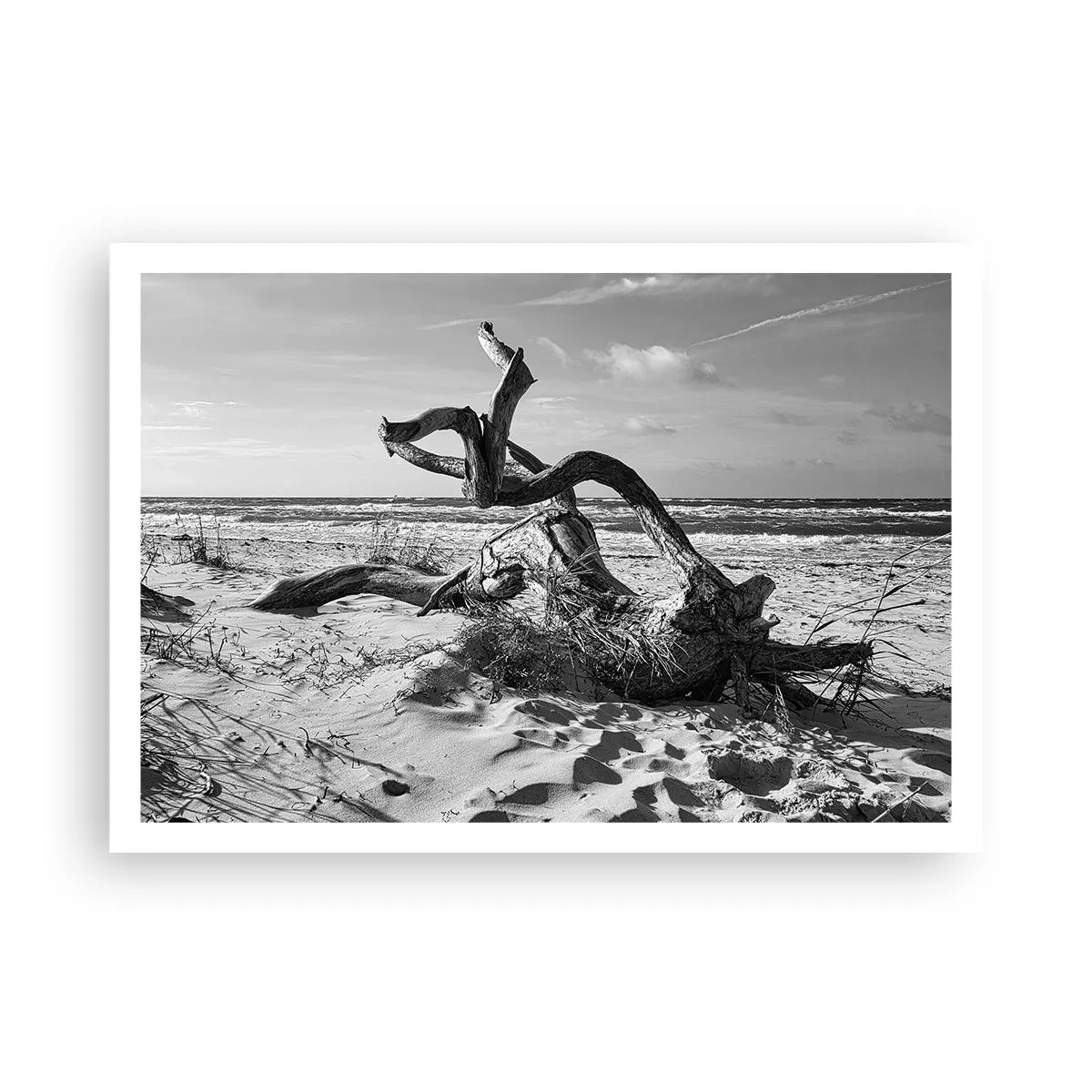 Poster - Paesaggio in bianco e nero con un albero morto sulla spiaggia - 100x70cm - Scolpito dal mare - Decorazione murale moderna per soggiorno e camera da letto ARTTOR
