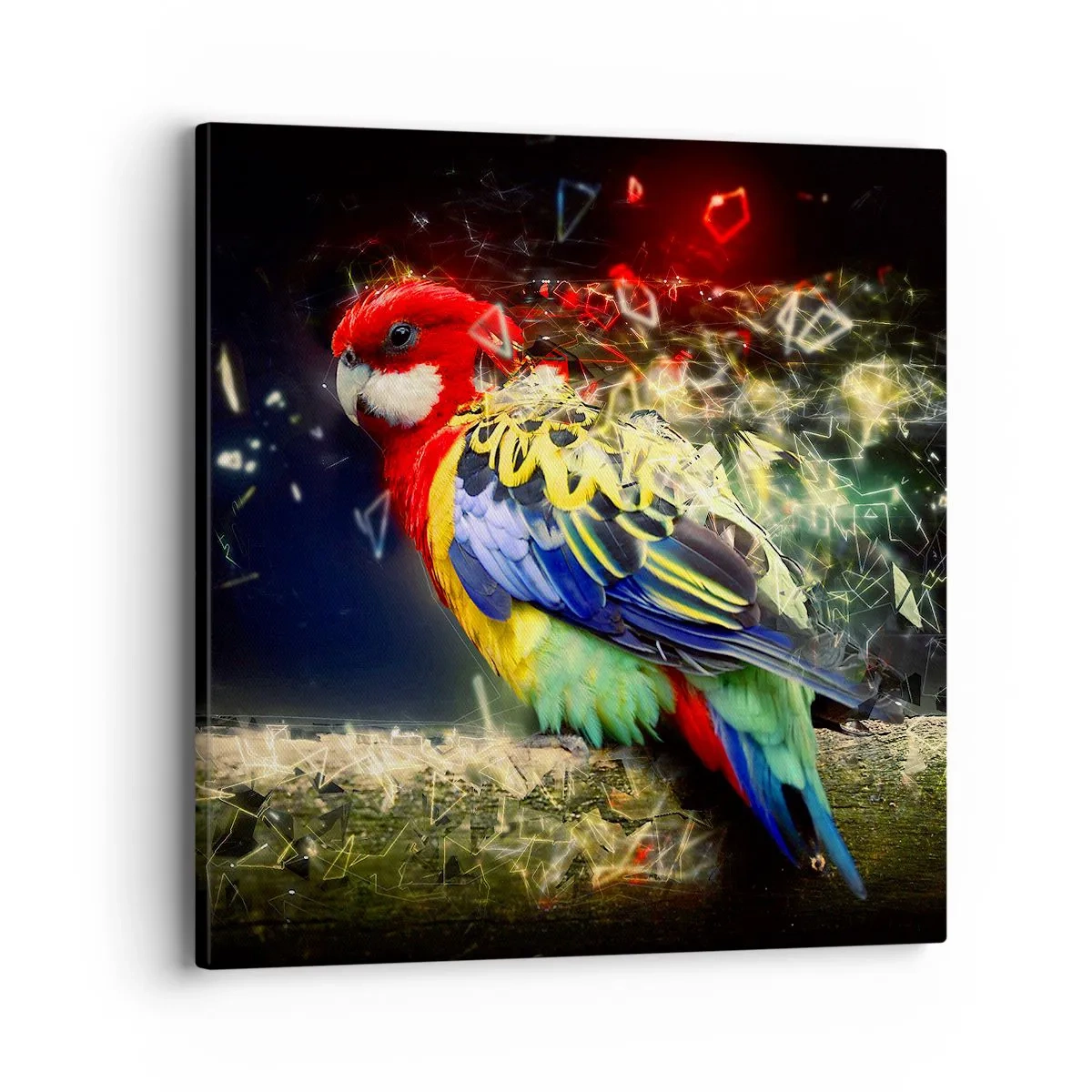 Quadro su tela - Stampe su Tela - Messaggero di luce - 40x40 cm