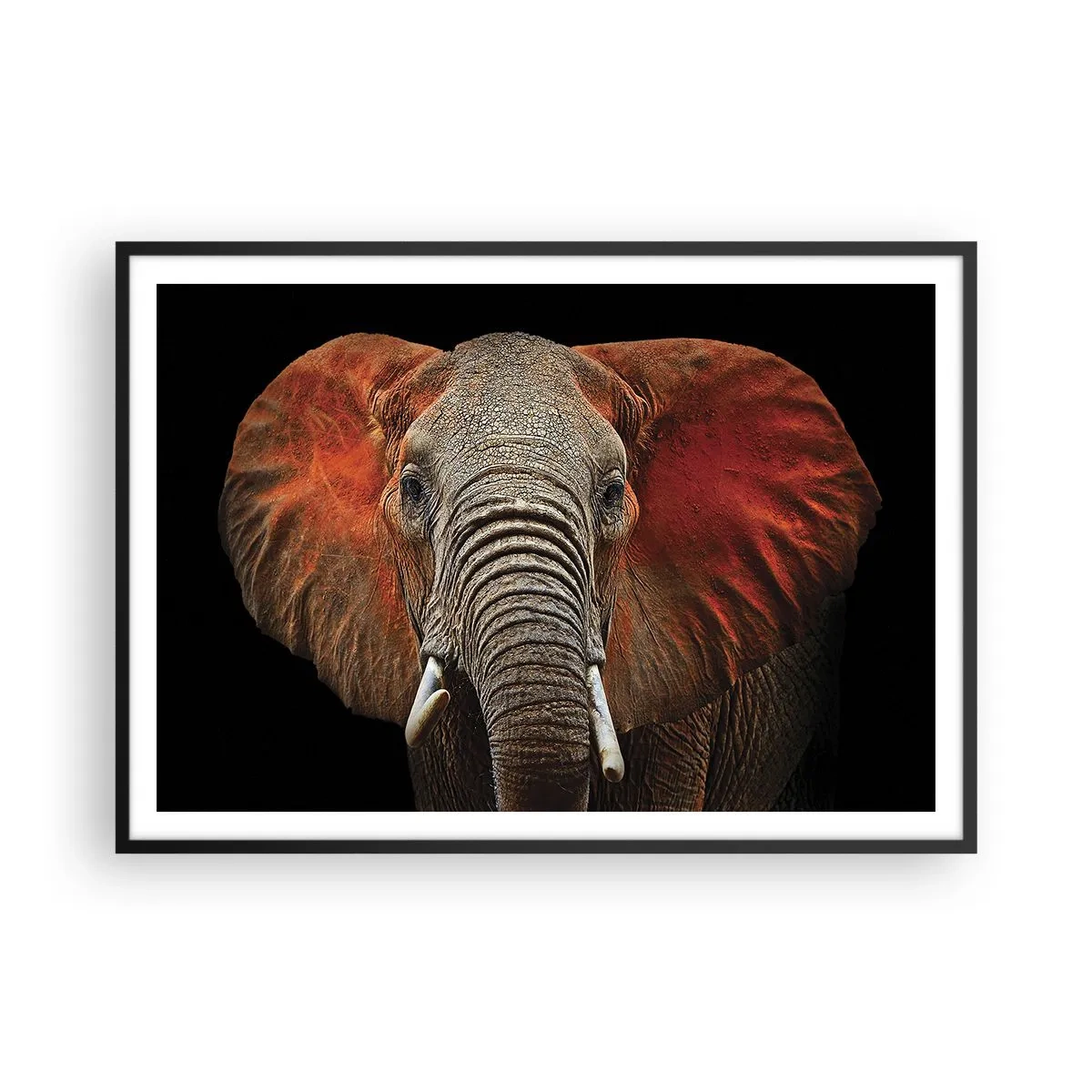 Poster in cornice nera - Ritratto di un elefante su sfondo nero - 100x70cm - Sono selvaggio e tu? - Decorazione murale moderna per soggiorno e camera da letto ARTTOR