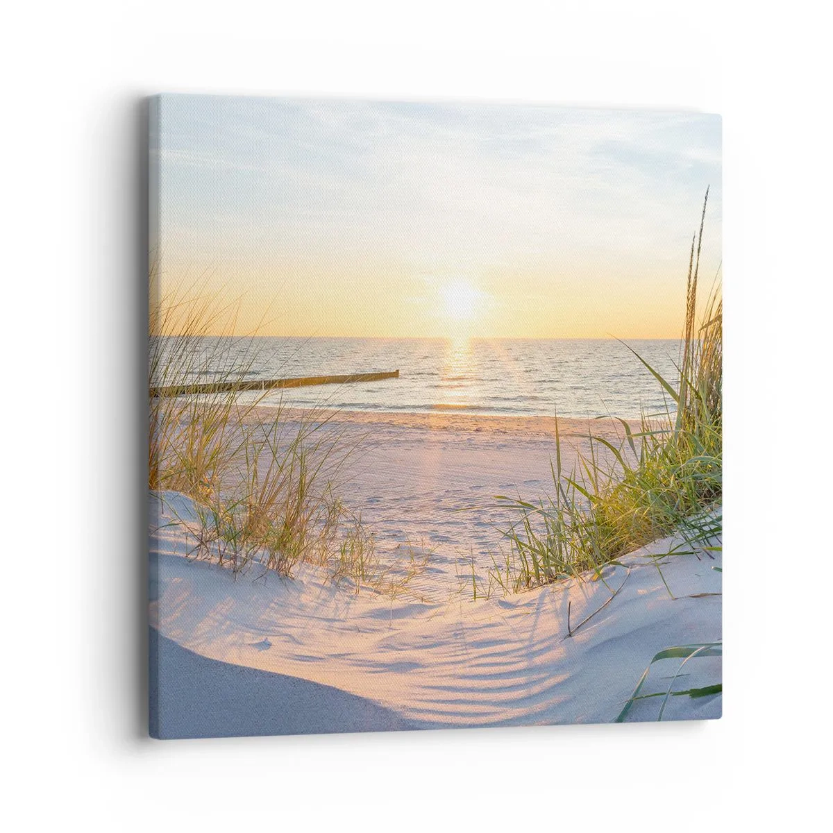 Quadro su tela - Stampe su Tela - Rumore del mare, uccelli che cantano, spiaggia selvatica tra i cespugli... - 40x40 cm