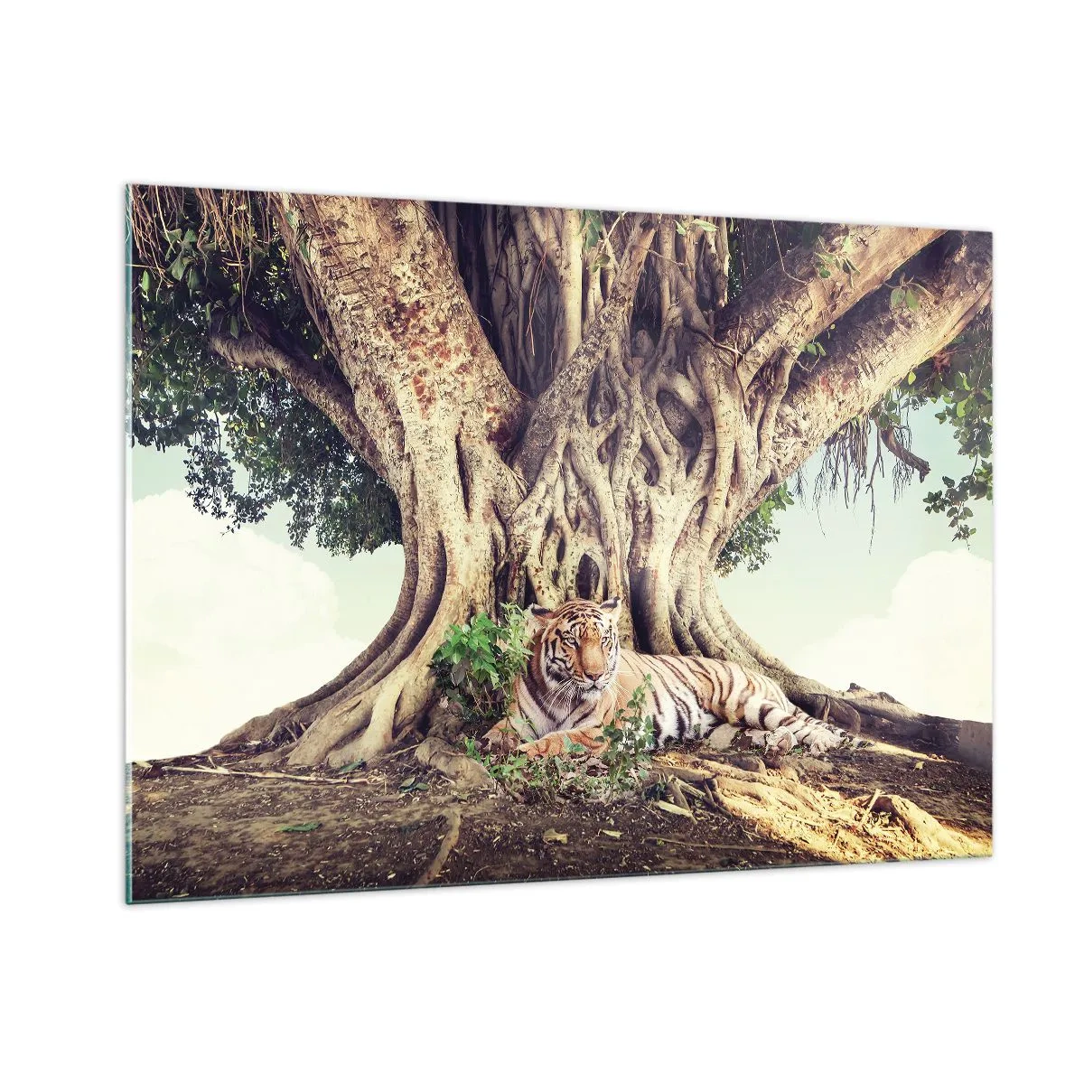Quadro su vetro - Una tigre sdraiata sotto un albero che si estende nella giungla - 100x70cm - Vista dal Libro della Genesi - Decorazione murale moderna per soggiorno e camera da letto ARTTOR