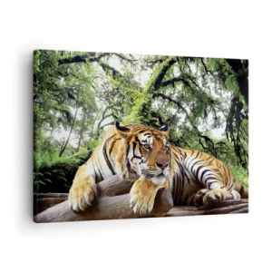 Quadro su tela - Stampe su Tela - Una tigre che riposa in una foresta tropicale - 70x50cm - Con espressioni di stima - Decorazione murale moderna per soggiorno e camera da letto ARTTOR