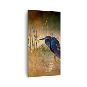 Quadro su tela - Stampe su Tela - Basta con queste foto - 65x120 cm
