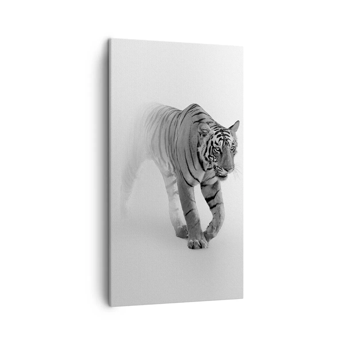 Quadro su tela - Stampe su Tela - Incantato nella nebbia - 45x80 cm