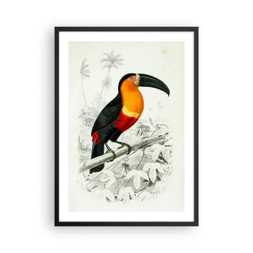 Poster in cornice nera - Ritratto di pappagallo - 50x70cm - Colori di uccelli - Decorazione murale moderna per soggiorno e camera da letto ARTTOR