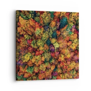 Quadro su tela - Stampe su Tela - Il bouquet degli alberi d'autunno - 30x30 cm