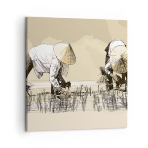 Quadro su tela - Stampe su Tela - Buon raccolto - 50x50 cm