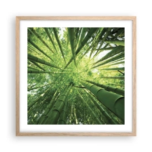 Poster in cornice rovere chiaro - Nella foresta di bambù - 50x50 cm