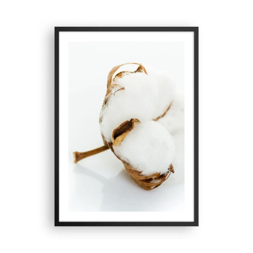 Poster in cornice nera - Primo piano di un ramo di cotone con delicate fibre bianche. - 50x70cm - Naturalmente morbido - Decorazione murale moderna per soggiorno e camera da letto ARTTOR