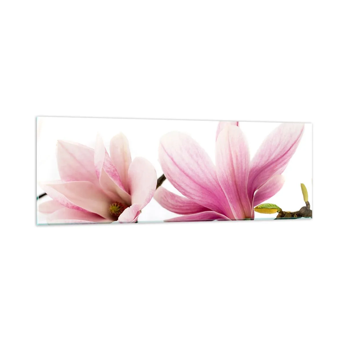 Quadro su vetro - Delicati come un soffio di primavera - 90x30 cm