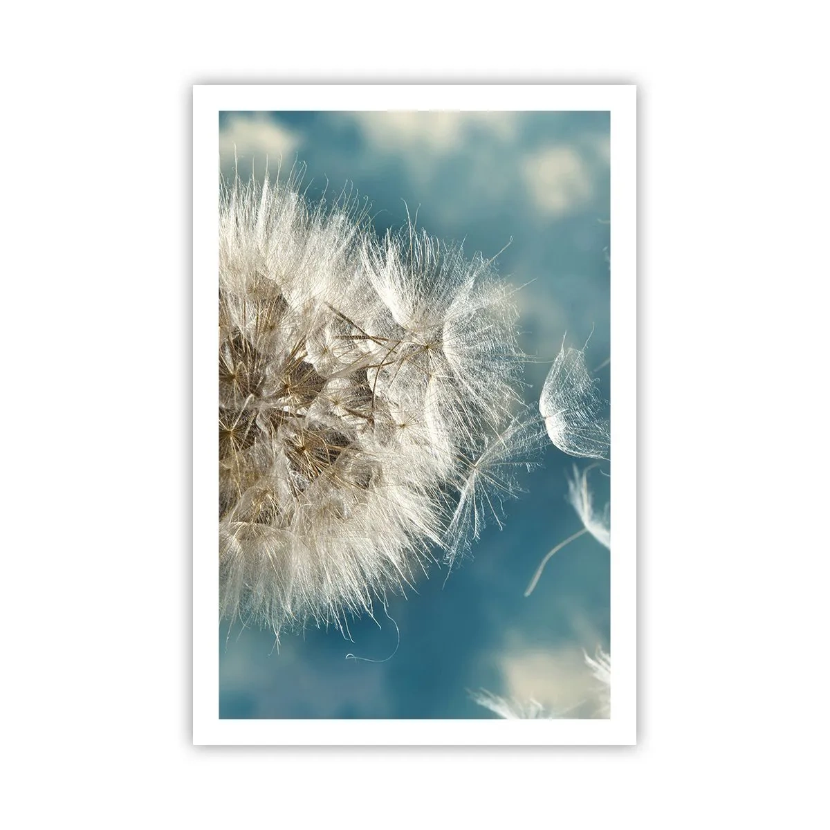 Poster - Il respiro dell'angelo - 61x91 cm