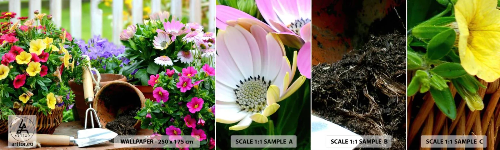 Campione Di Fotomurale Standard Eco - Il giardino di Sofia - Fiori, Giardino, Mazzo di fiori - 100x30 cm