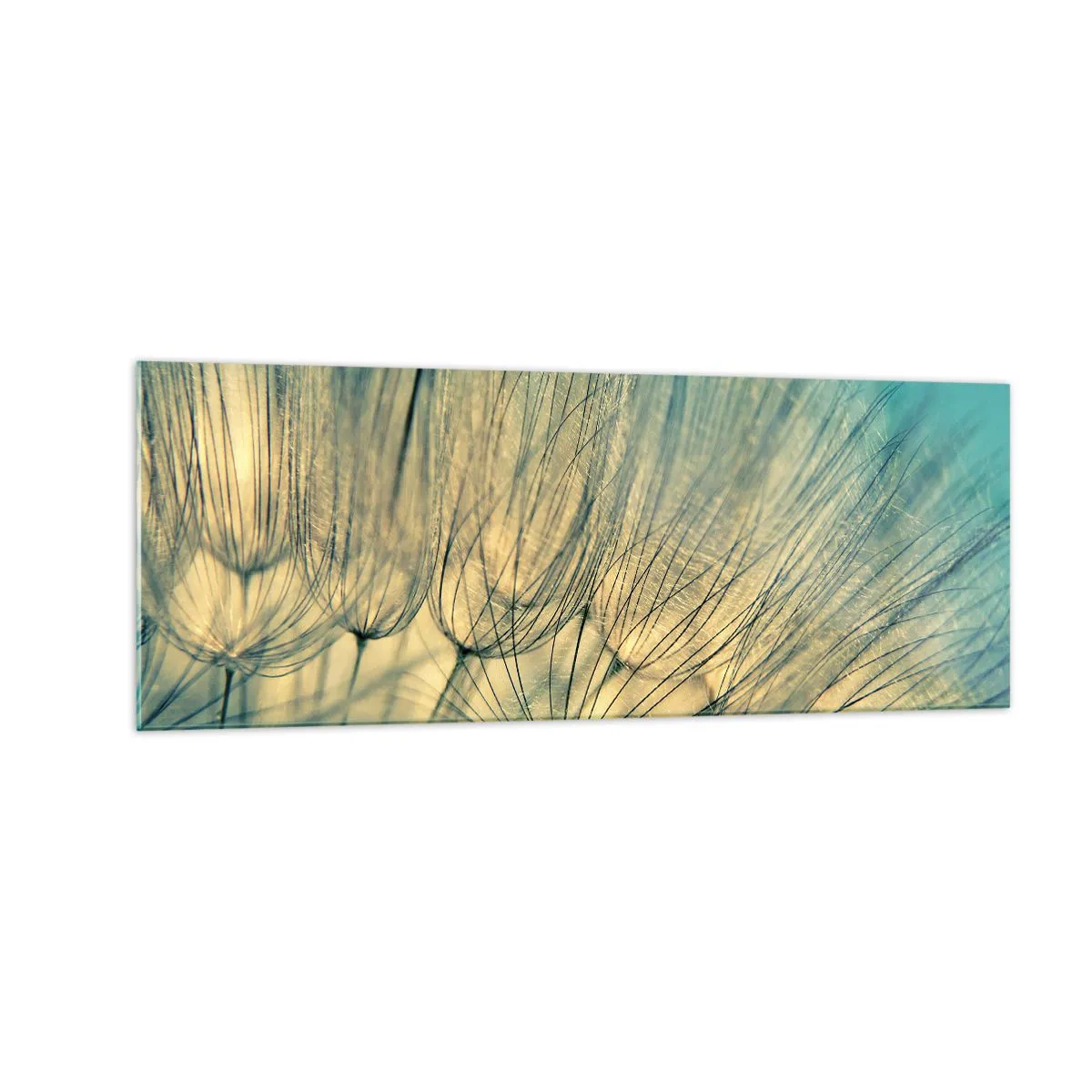 Quadro su vetro - Macrofotografia dei denti di leone alla luce del giorno - 140x50cm - Aspettando il vento - Decorazione murale moderna per soggiorno e camera da letto ARTTOR