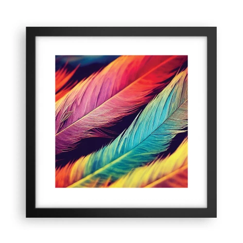 Poster in cornice nera - Arcobaleno piumato - 30x30 cm