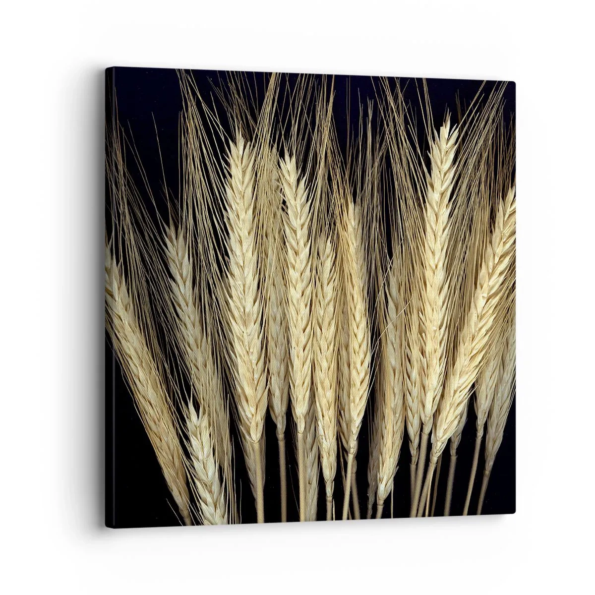 Quadro su tela - Stampe su Tela - Magia rustica - 30x30 cm
