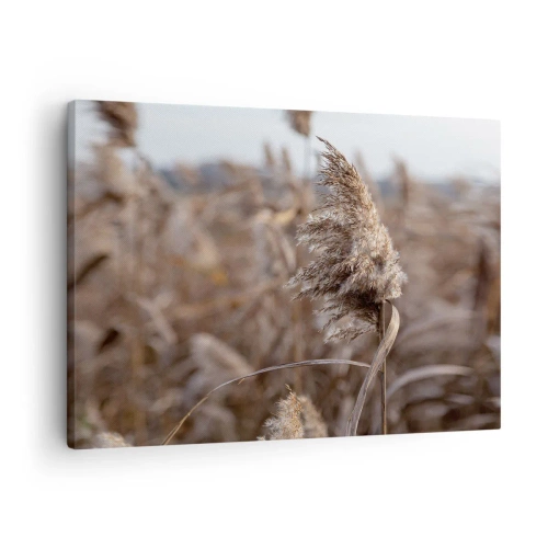 Quadro su tela - Stampe su Tela - Delicate erbe nelle tonalità del beige sullo sfondo della natura - 70x50cm - è tempo di volare col vento - Decorazione murale moderna per soggiorno e camera da letto ARTTOR